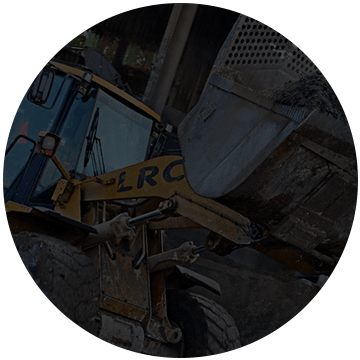 skip companies near me